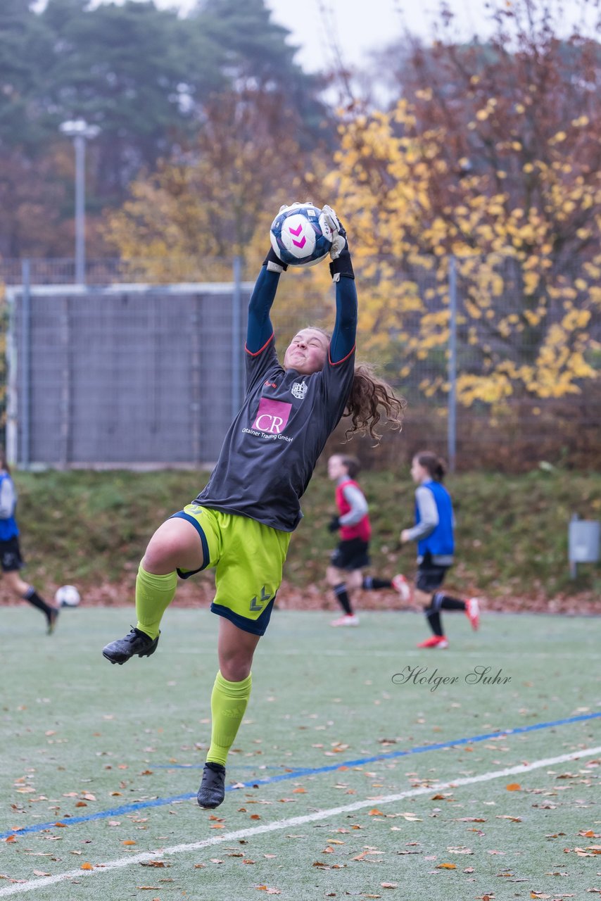 Bild 117 - wBJ Harburger TB - Holstein Kiel : Ergebnis: 2:1